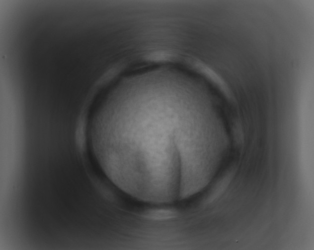 X0000100910586200807081126