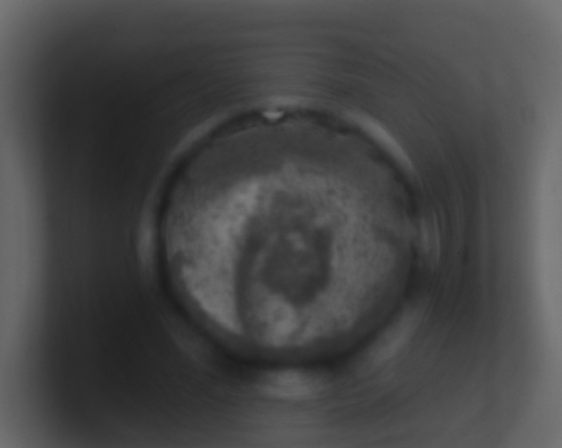 X0000100910588200807081126