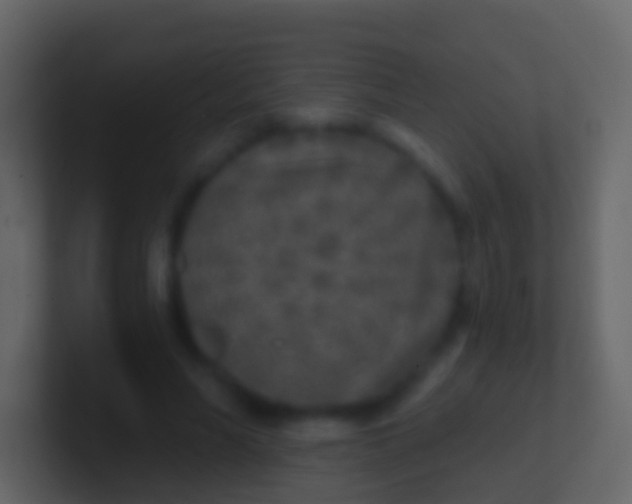 X0000100910590200807081126