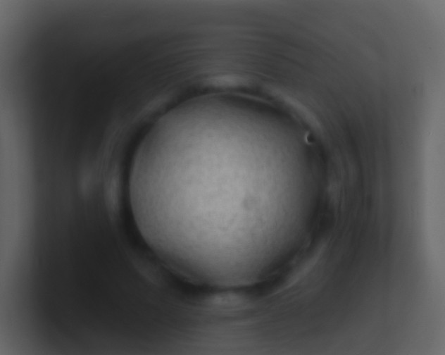 X0000100910591200807081126