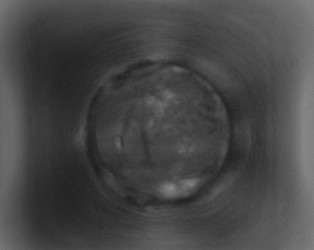 X0000100910592200807081126