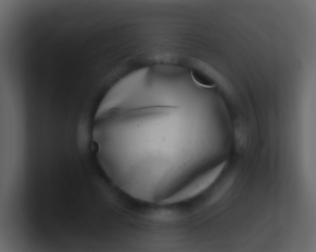X0000100910593200807081126