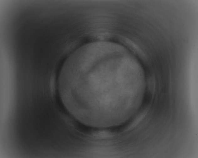 X0000100910594200807081126