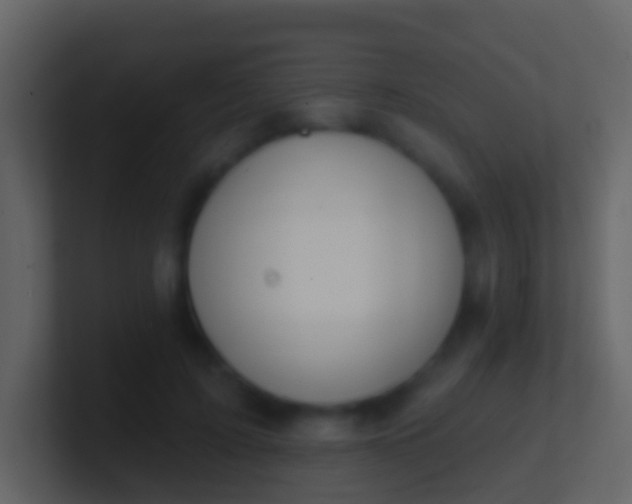 X0000100910595200807081126