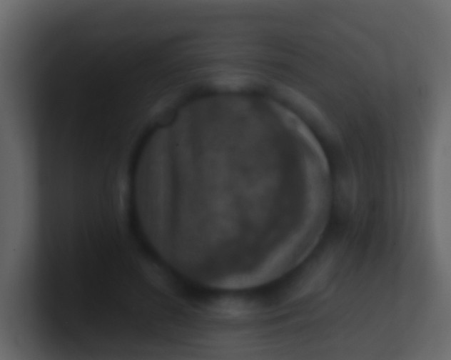 X0000100910596200807081126