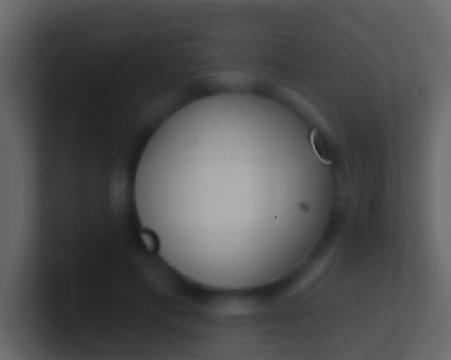 X0000100910597200807081126