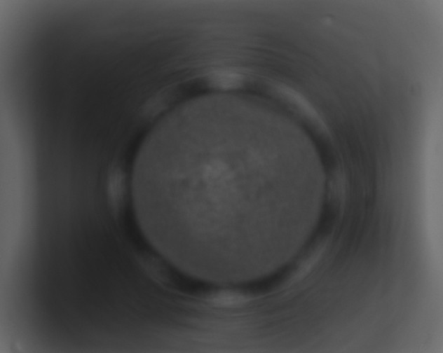 X0000100910598200807081126