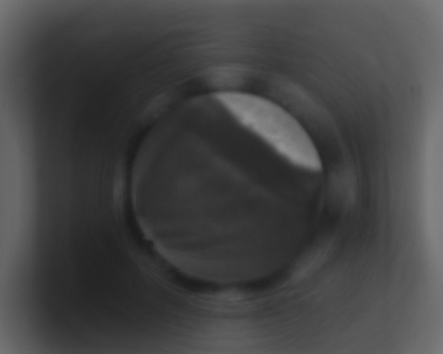 X0000100910600200807081126