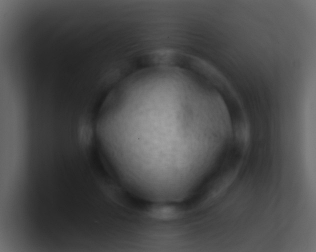 X0000100910602200807081126