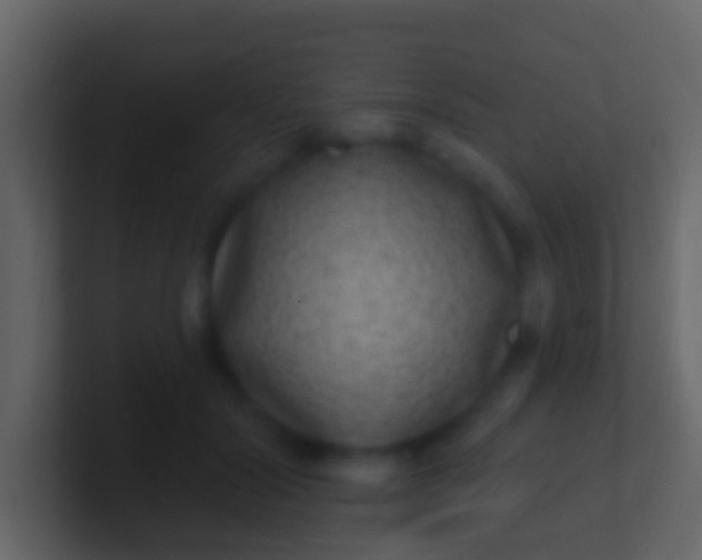X0000100910604200807081126
