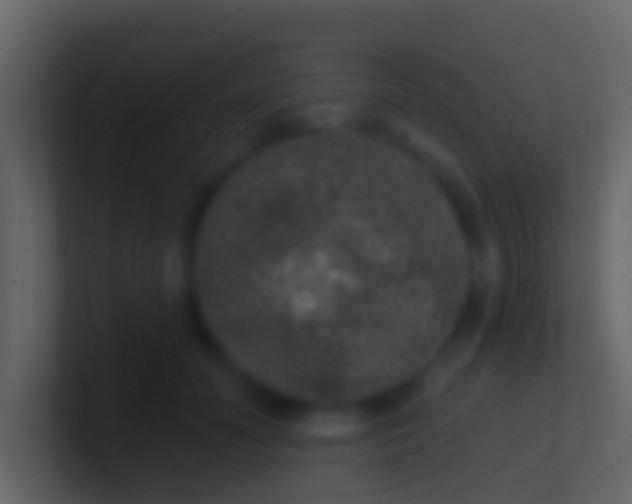 X0000100910606200807081126