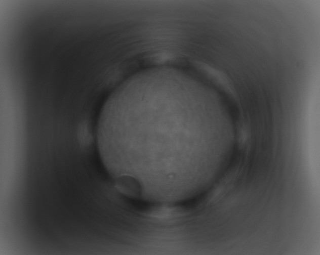 X0000100910607200807081126