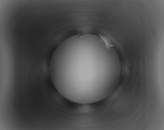 X0000100910609200807081126