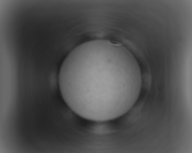 X0000100910612200807081126