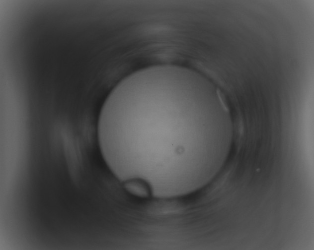 X0000100910615200807081125