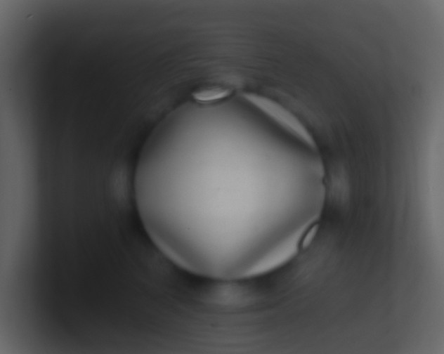 X0000100910616200807081125