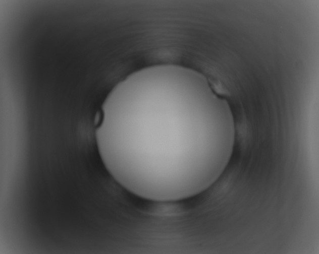 X0000100910617200807081125