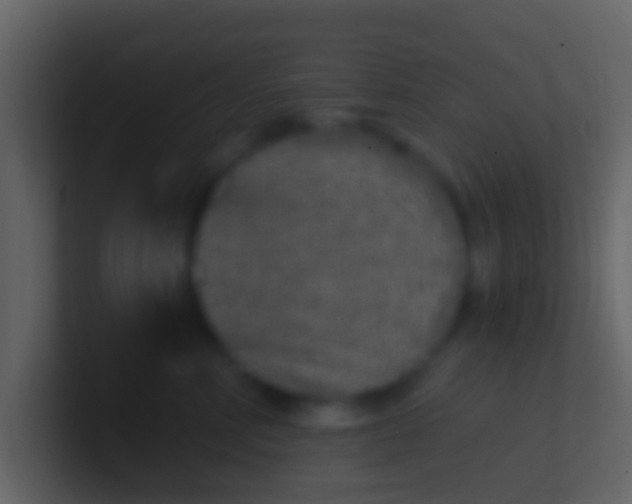 X0000100910618200807081125