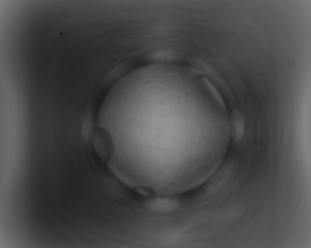 X0000100910619200807081125