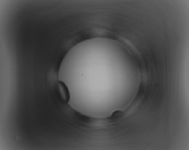 X0000100910621200807081125