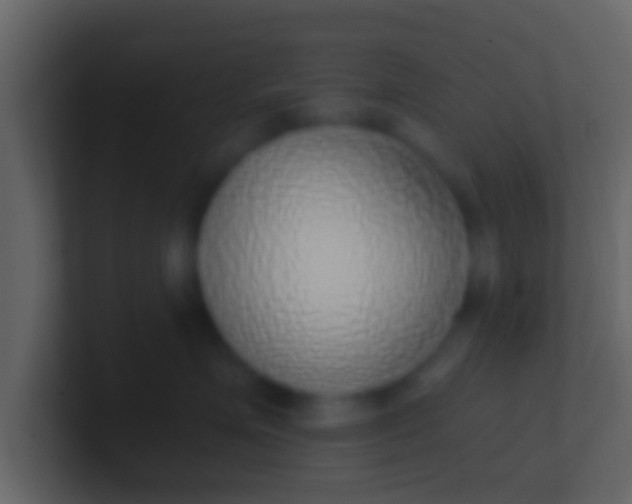 X0000100910623200807081125