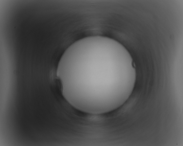 X0000100910624200807081125