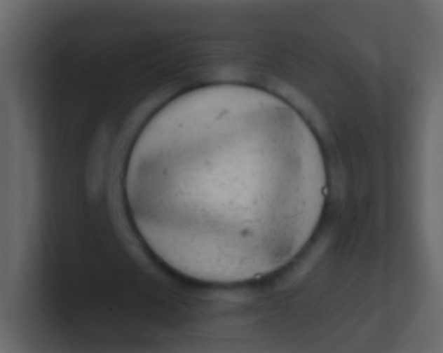 X0000100910625200807081125