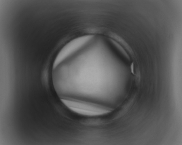 X0000100910626200807081125