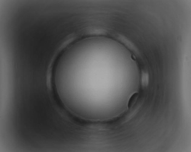 X0000100910627200807081125