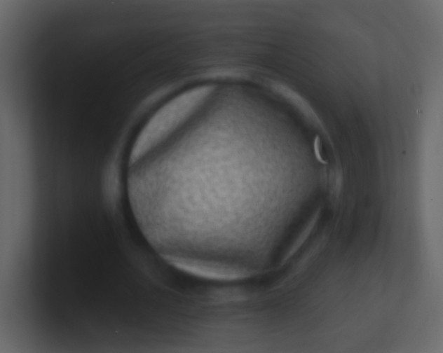X0000100910628200807081125