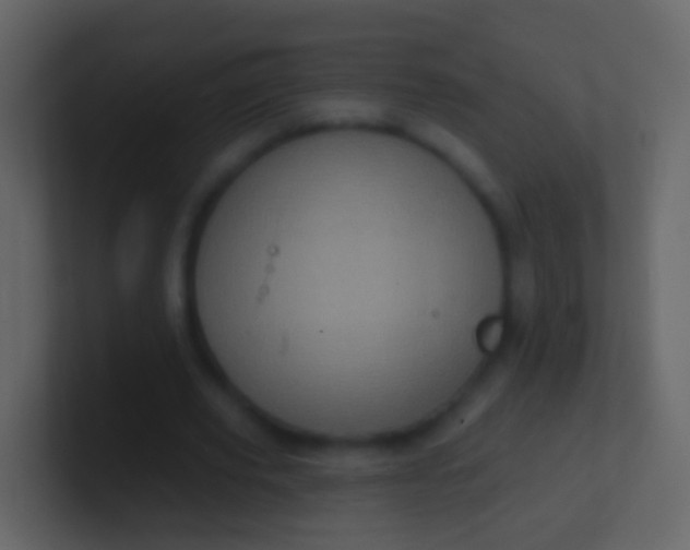 X0000100910629200807081125