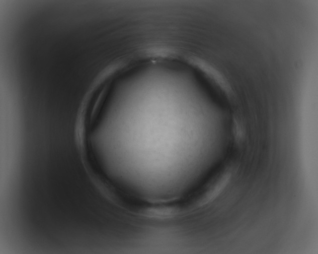 X0000100910630200807081125