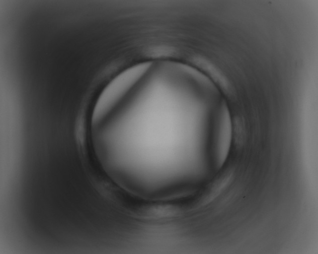X0000100910631200807081125