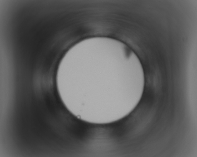 X0000100910632200807081125