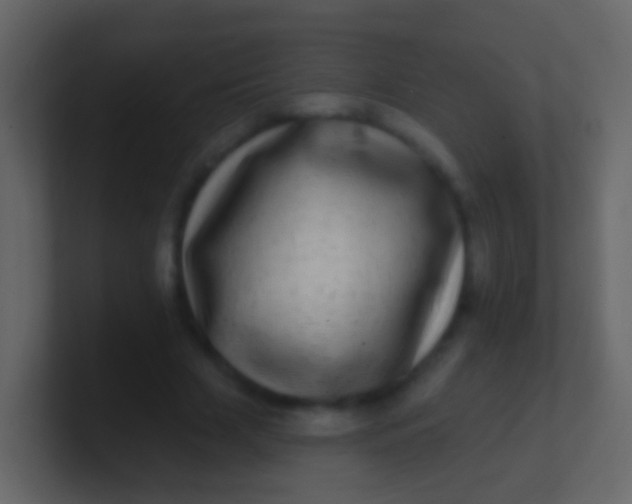 X0000100910633200807081125