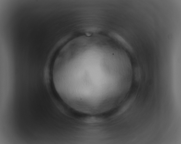 X0000100910634200807081125
