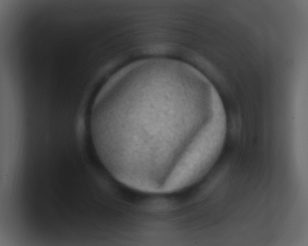 X0000100910636200807081125