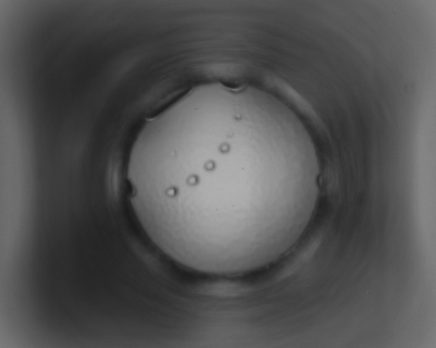 X0000100910637200807081125
