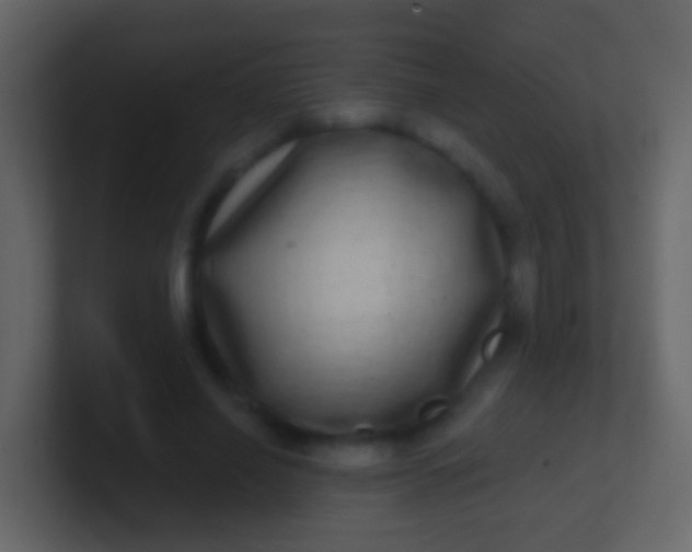 X0000100910638200807081125
