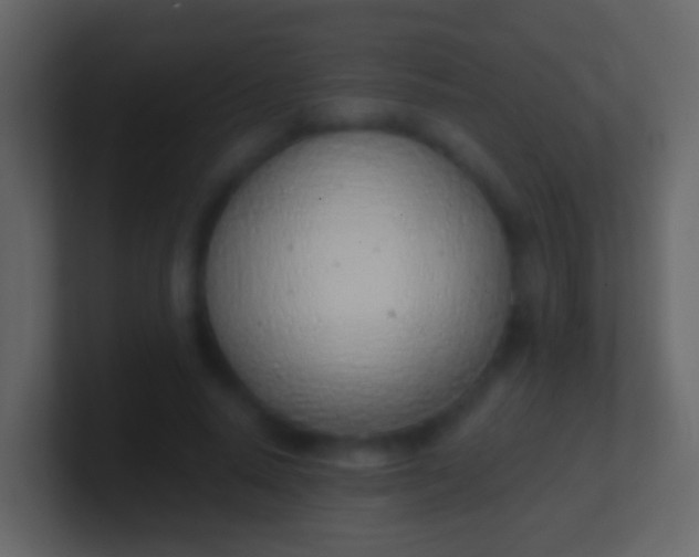 X0000100910640200807081125