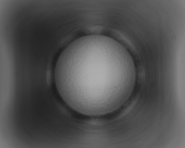 X0000100910641200807081125