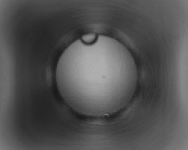 X0000100910643200807081125