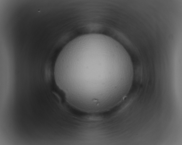 X0000100910644200807081125