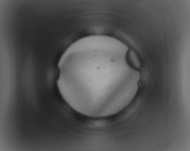X0000100910645200807081125