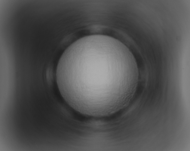 X0000100910648200807081125