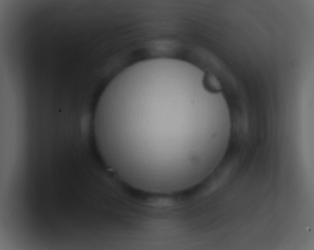 X0000100910649200807081125