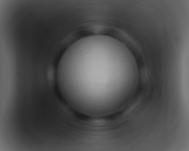 X0000100910650200807081125