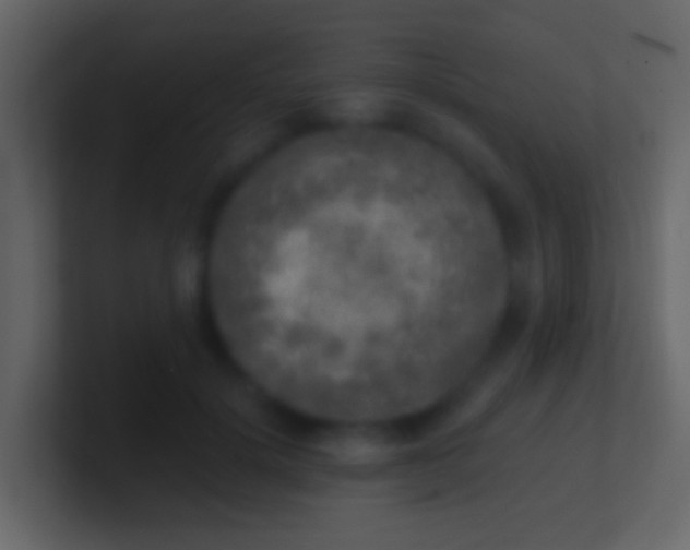 X0000100910652200807081125