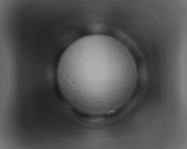 X0000100910653200807081125