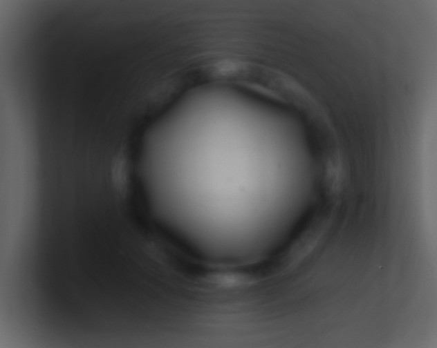 X0000100910654200807081125